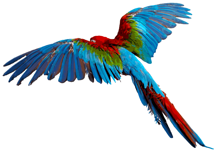 Macaw - minimal subscription-manager